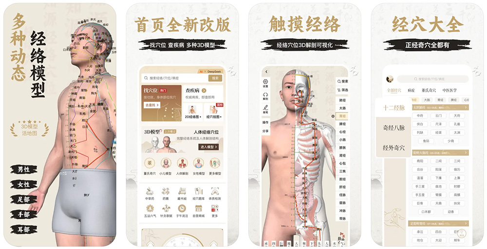 知源经络穴位APP截图