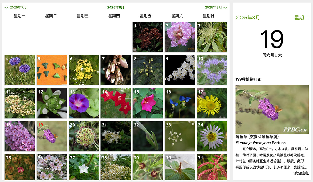 中国数字植物园官网：整合全国植物园资源，提供植物分类、保护、研究及科普信息