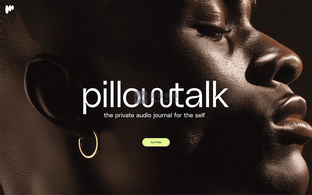 pillowtalk官网：支持用户语音或文字记录日记，支持99种语言的转录