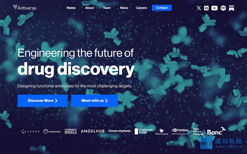 Antiverse官网:用户可以自由调整年龄、情绪、口音、内容等设置