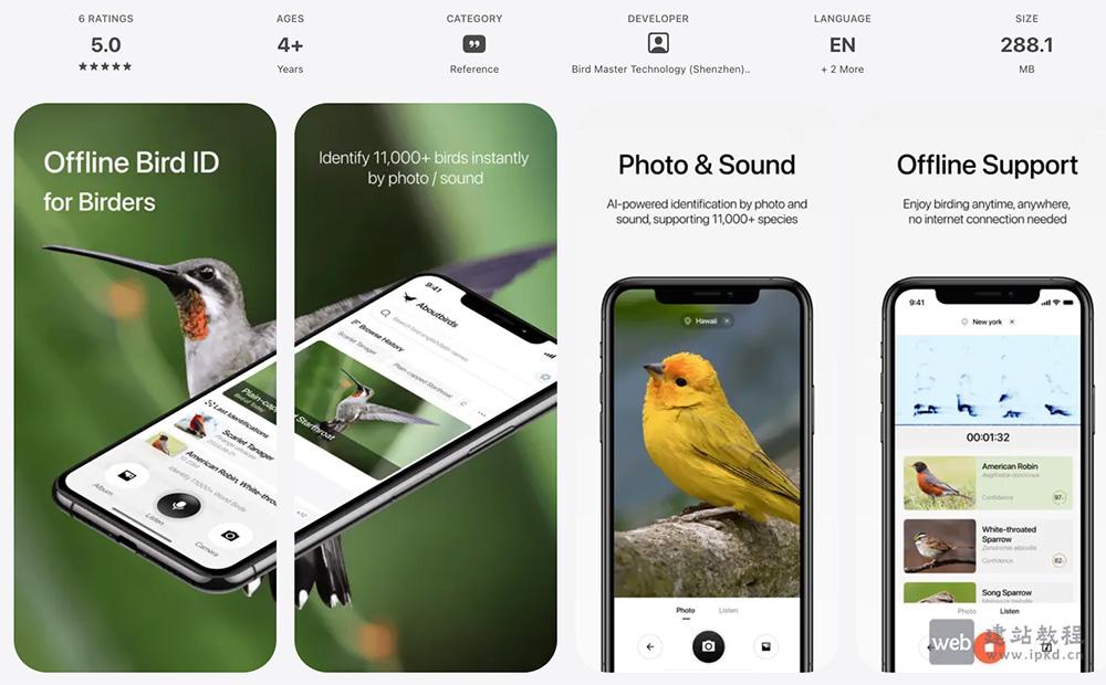 懂鸟Aboutbirds：一个识别全球10946种鸟类的在线平台