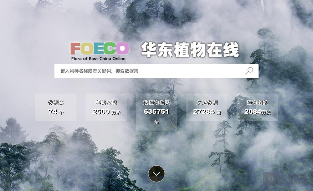 华东植物在线官网入口,一款包含13720条记录的网络版数据库