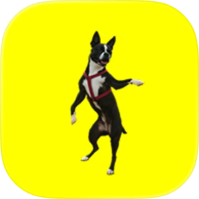 Dancing Dogs APP最新版