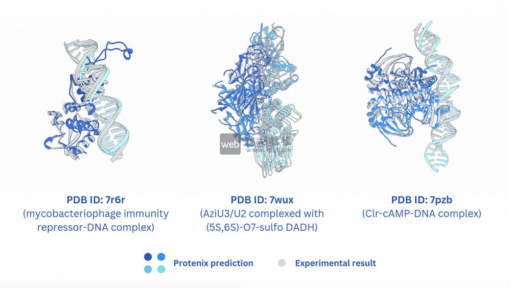 Protenix官网使用入口，一款面向蛋白质结构预测与相关分析的工具库